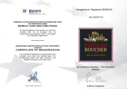 brand certificate2