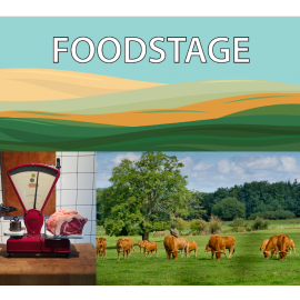 New Logo FOODSTAGE