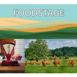 Nuovo logo FOODSTAGE